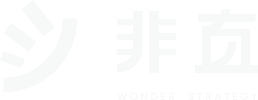 非直战略 Wonder Strategy